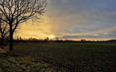 Sonnenaufgang über dem Dragoneranger in Göttingen Weende